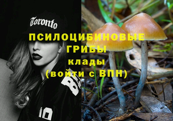 прущая мука Няндома