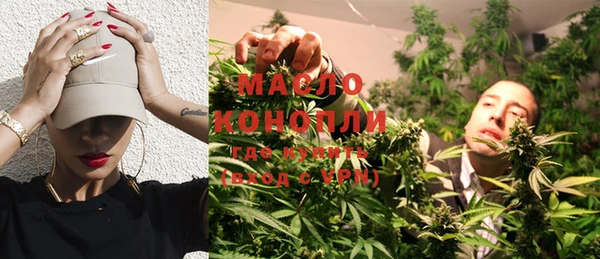 шишки Новозыбков
