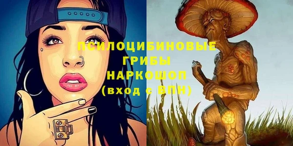прущая мука Няндома