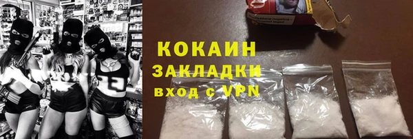 шишки Новозыбков