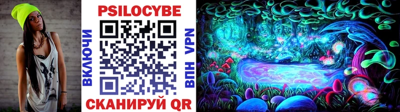 Псилоцибиновые грибы MAGIC MUSHROOMS  хочу наркоту  Нолинск 