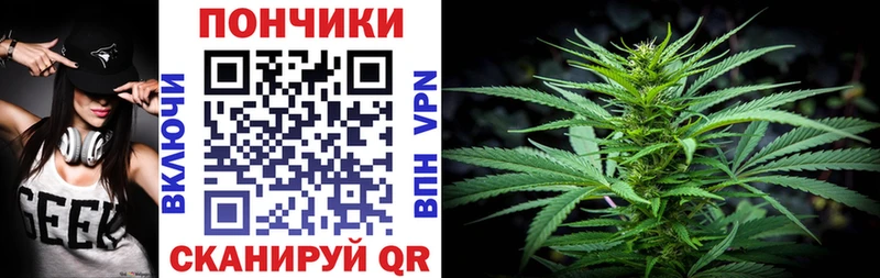 Бошки марихуана сатива  Нолинск 